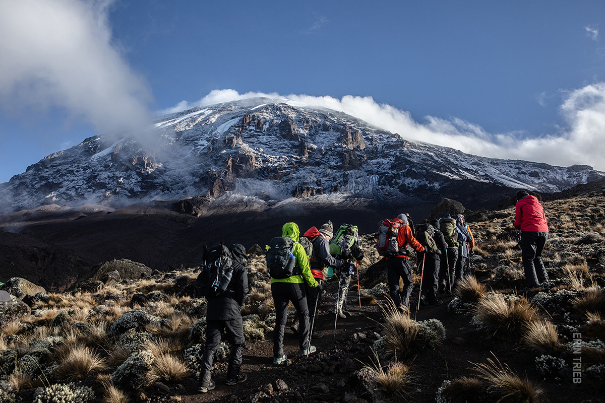 tanzania-trekkers-snow-kibo-Kilimanjaro