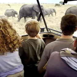 Tanzania-Family-Safari-Holidays.jpg