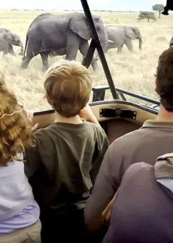 Tanzania-Family-Safari-Holidays.jpg
