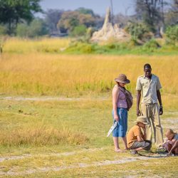 family-safaris-24-1050x591