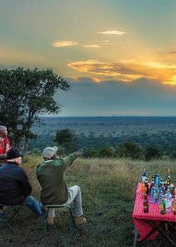 safari-camp-sundowners
