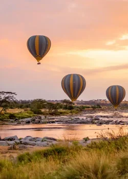 tanzania-wildobile
